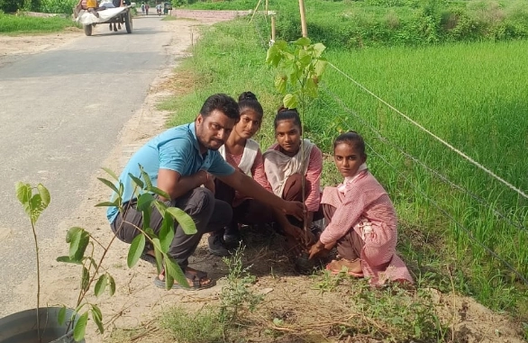 Image showcasing agroforestry practices, promoting sustainable agriculture and environmental conservation.